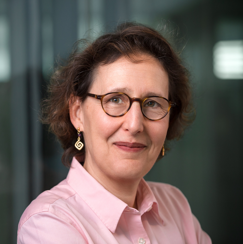 Sara Irina Fabrikant's Image